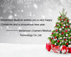 Bellamoon (Xiamen) Medical Technology Co., Ltd. Christmas Team Building Activity